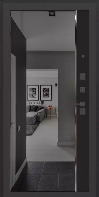 Товар Дверь CARBON DIS006616